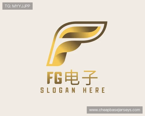 关于FG电子